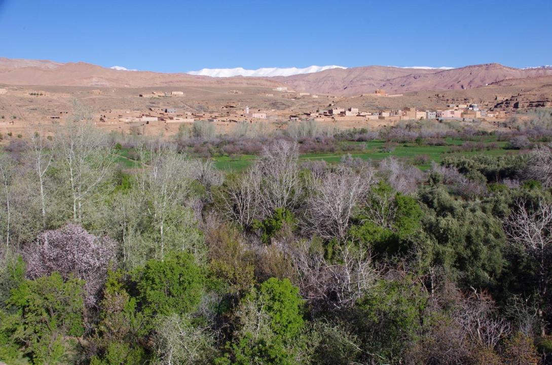 Les Jardins Du M'Goun Bed & Breakfast Kelaat-M'Gouna Exterior foto