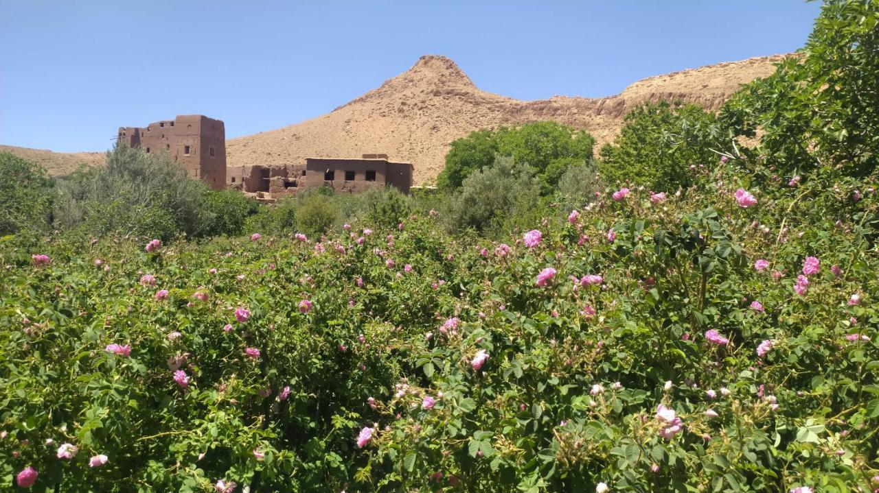 Les Jardins Du M'Goun Bed & Breakfast Kelaat-M'Gouna Exterior foto