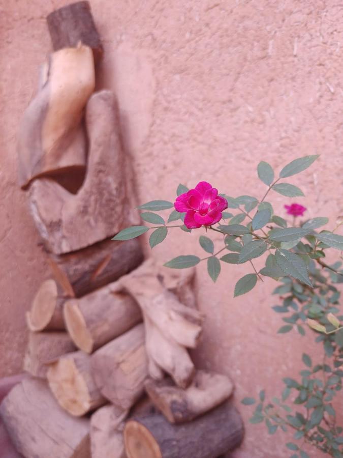 Les Jardins Du M'Goun Bed & Breakfast Kelaat-M'Gouna Exterior foto